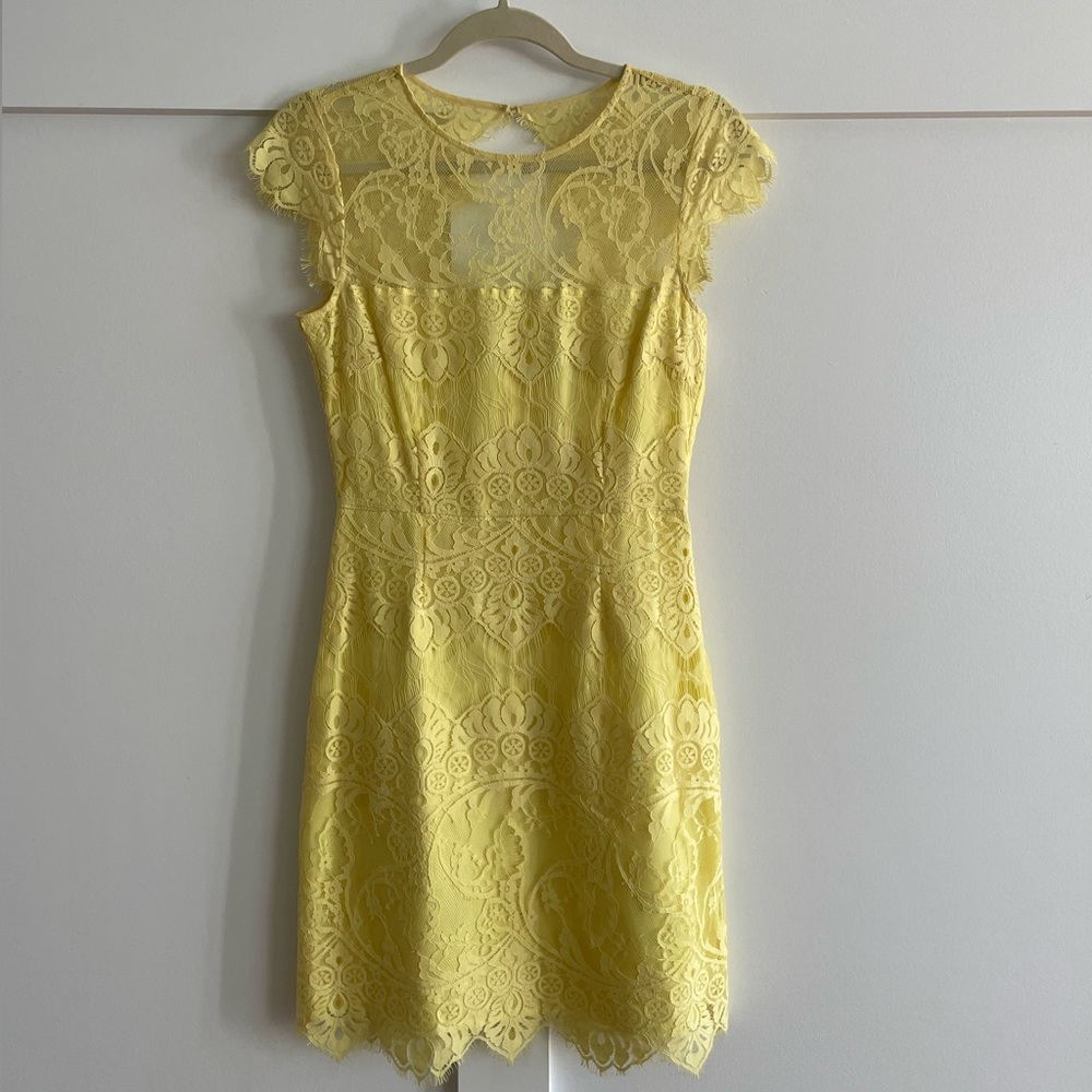 BB Dakota Jayce Lace Sheath Cocktail Dress in Citrus
